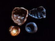 「げんこつ小鉢」と「わびさびワサビ入れ」。