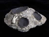 「月面珍味皿」