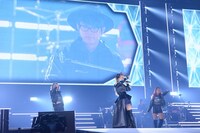 GARNiDELiA