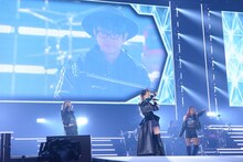 GARNiDELiA