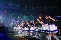 ウマ娘 プリティーダービー