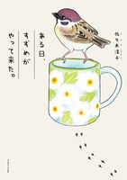 「ある日、すずめがやって来た。」帯なし