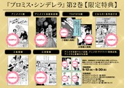 「プロミス・シンデレラ」2巻の特典。