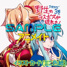 アニメイト特典