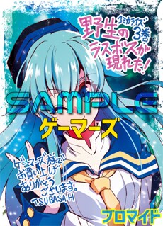 ゲーマーズ特典 - 「野生のラスボスが現れた！」激闘と裏切りが交錯