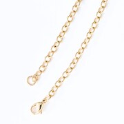 「『プリティーオールフレンズ』コラボレーション腕時計」付属のネックレスチェーン。