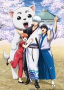 「銀魂 銀祭り2019（仮）」キービジュアル
