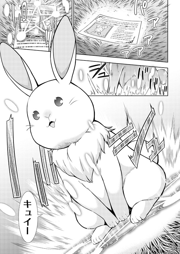 「VRMMOでサモナー始めました」より。