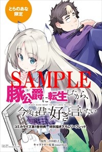 とらのあな特典の4Pリーフレット。