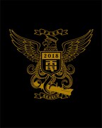 電気グルーヴ「クラーケン鷹」Blu-rayジャケット