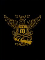 電気グルーヴ「クラーケン鷹」DVDジャケット