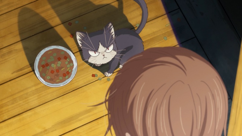アニメ「同居人はひざ、時々、頭のうえ。」ティザーPVより。
