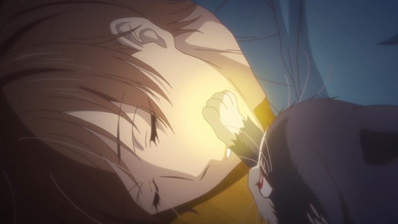 アニメ「同居人はひざ、時々、頭のうえ。」ティザーPVより。