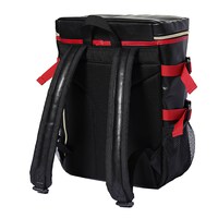 フェイト・T・ハラオウンモデルのリュック。