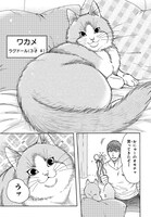 「世界ねこメンずかん」より。