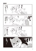「ごすじん大好きポン太の憂鬱」より。