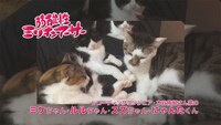 ちょぼらうにょぽみによる4コマ「弱酸性ミリオンアーサー」より。