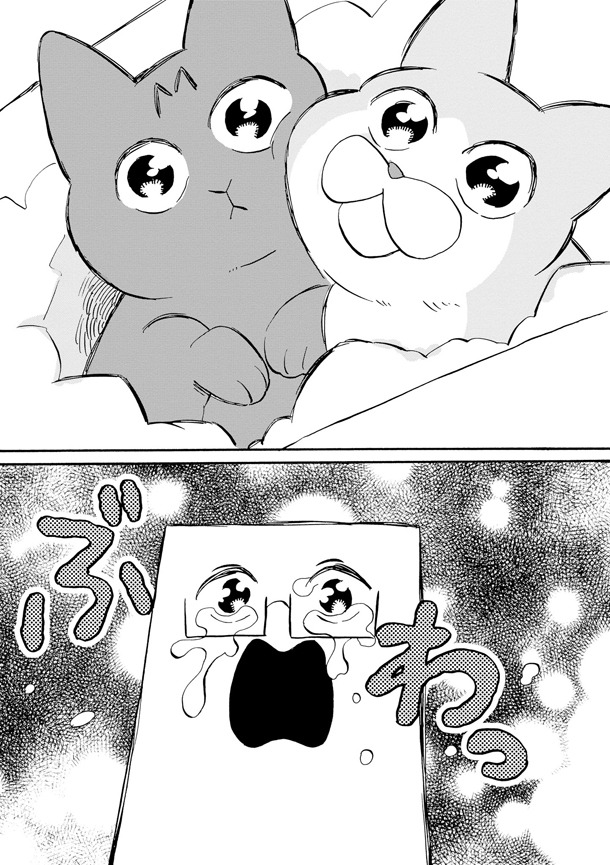 「クレイジーキャッツとマッドファミリー」より。