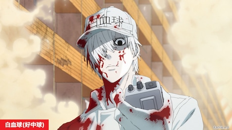 TVアニメ「はたらく細胞」提供素材。