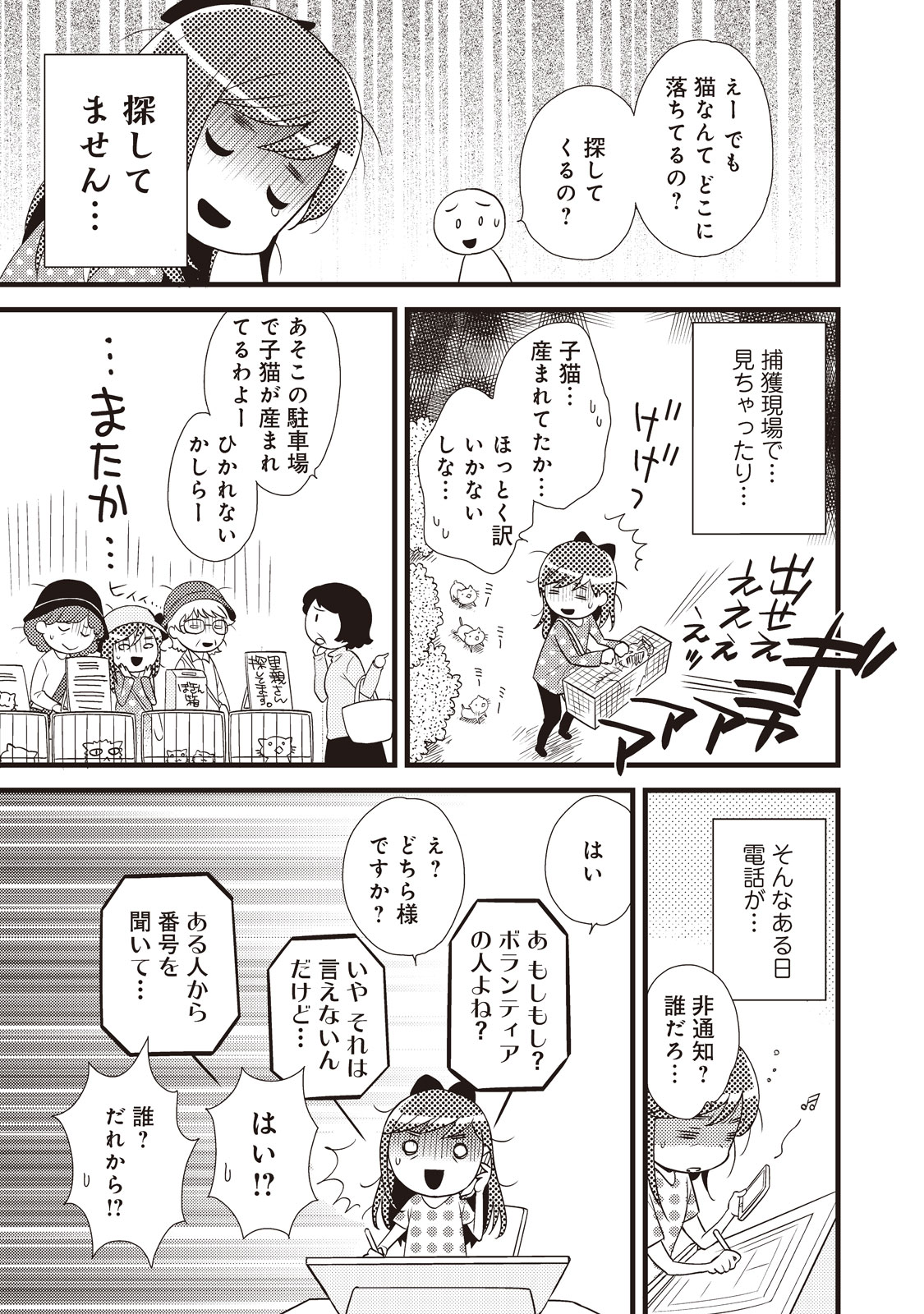 「ねこボラ部のみるくさん」より。