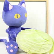 「ぬいぐるみ 先生」とキャベツ。