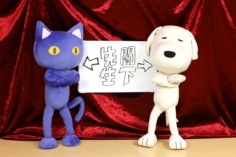 「プラネット・ウィズ」先生と閣下のぬいぐるみだにゃ！と先生はおっしゃっている