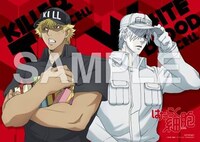 A3クリアポスター