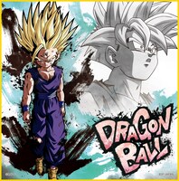 G賞「色紙」（全12種）