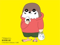 「ワカルトリ」のビジュアル。