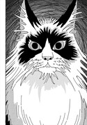 「猫恋人」より。