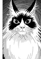 「猫恋人」より。