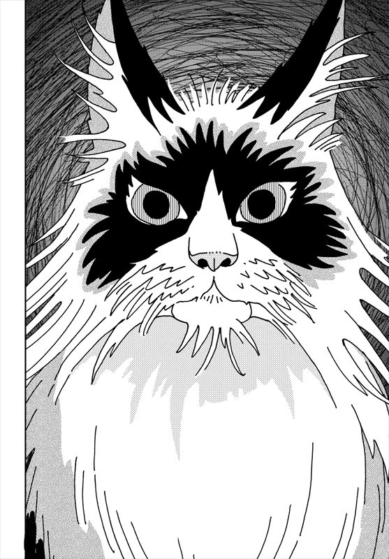 「猫恋人」より。