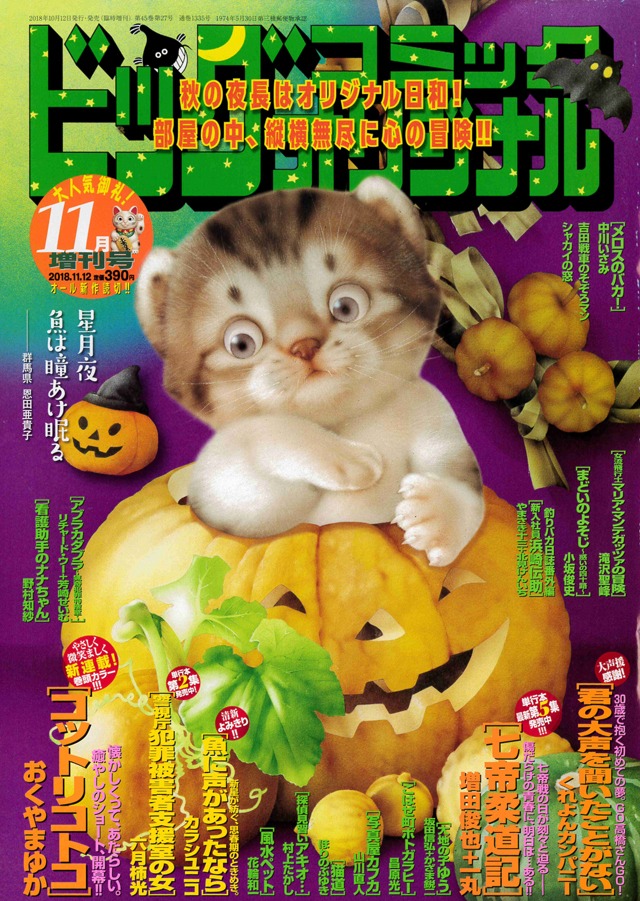 ビッグコミックオリジナル増刊11月号