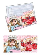 C賞「マスクケース 血小板」