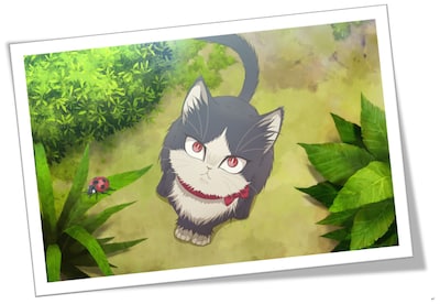 ハルのカット。