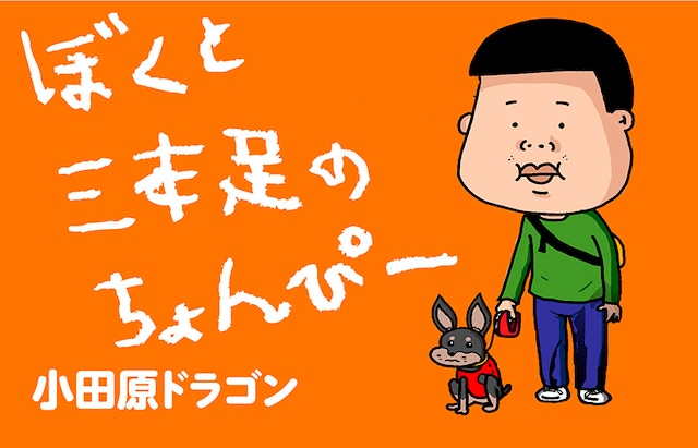 「ぼくと三本足のちょんぴー」カット