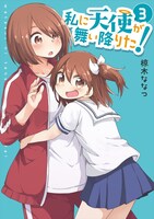 「私に天使が舞い降りた！」3巻
