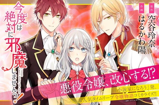 「今度は絶対に邪魔しませんっ！」