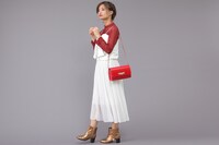 セイバーモデルの使用例。