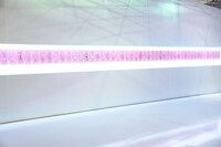 「カードの間」