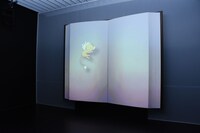 「スペシャルシアター」