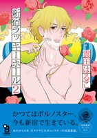 「新宿ラッキーホール2」帯あり