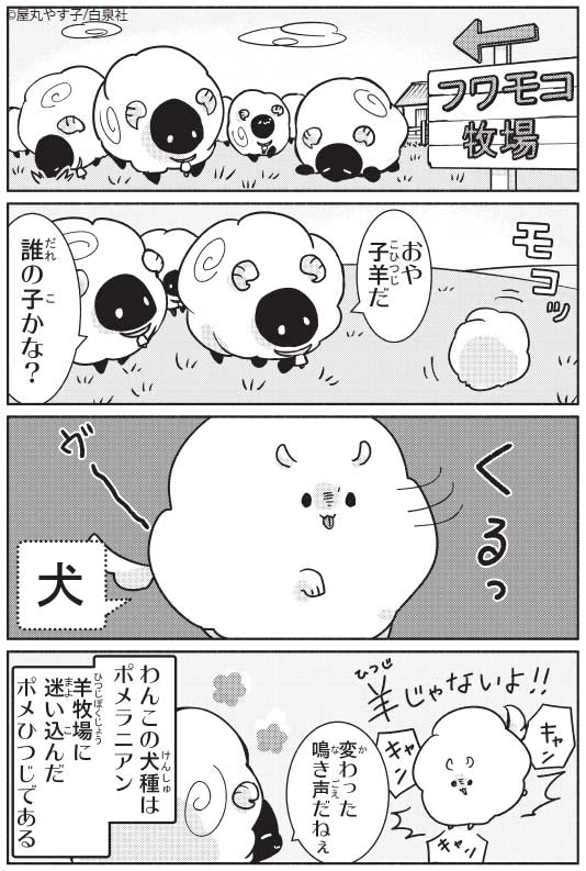「次世代キャラクターコンテスト ○○と●●」のサンプル「ポメひつじと夢」。