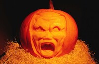 間桐臓硯パンプキン