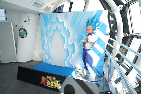 ベジータのフォトスポット。