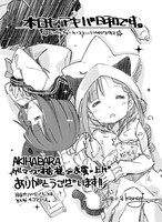 AKIHABARAゲーマーズ本店特典