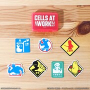 ピルケース入りフレークステッカー。