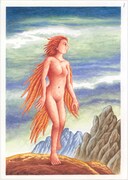 「鳥人の森」の表紙イラスト。