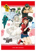 「はたらく細胞」シリーズ　血液センターコラボ応援フェアの特典ブロマイド。