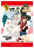 「はたらく細胞」シリーズ　血液センターコラボ応援フェアの特典ブロマイド。